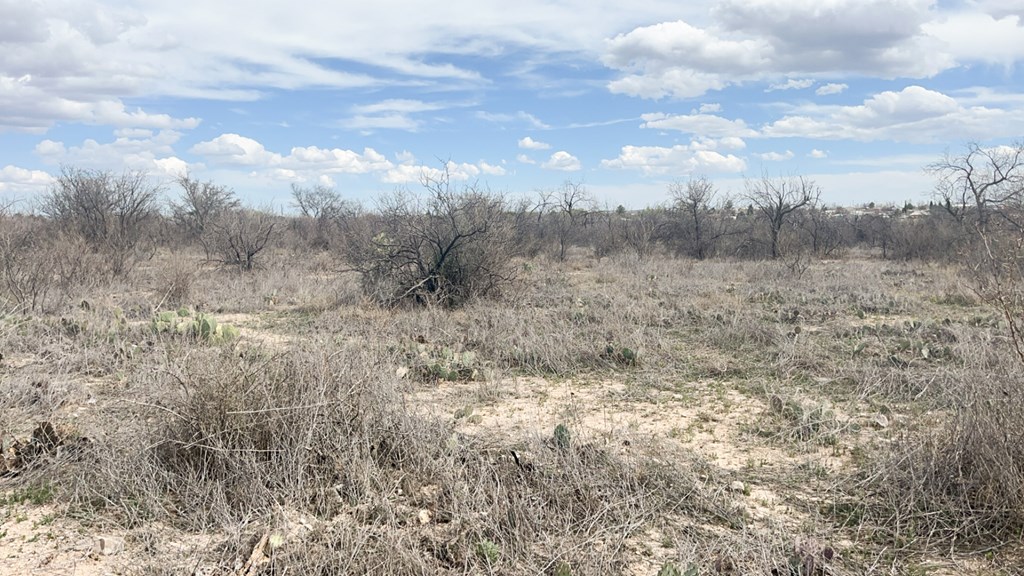 TBD Railway St, Marathon, Texas image 21