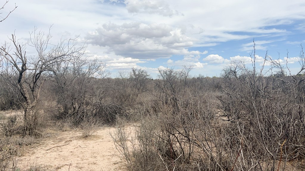 TBD Railway St, Marathon, Texas image 17