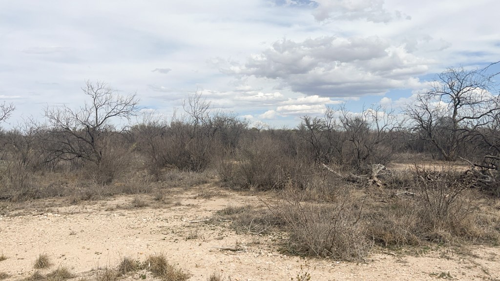 TBD Railway St, Marathon, Texas image 19