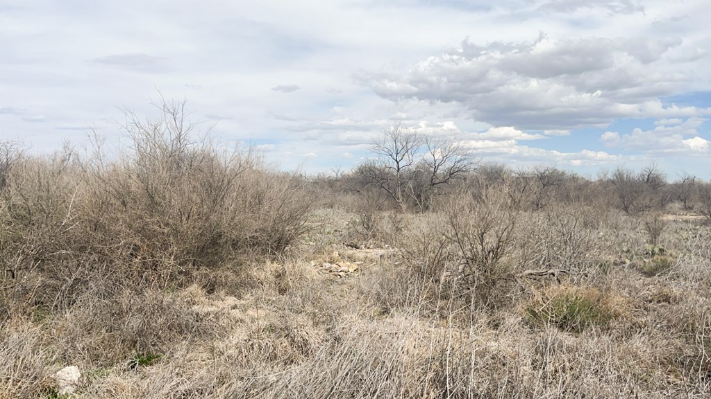 TBD Railway St, Marathon, Texas image 22
