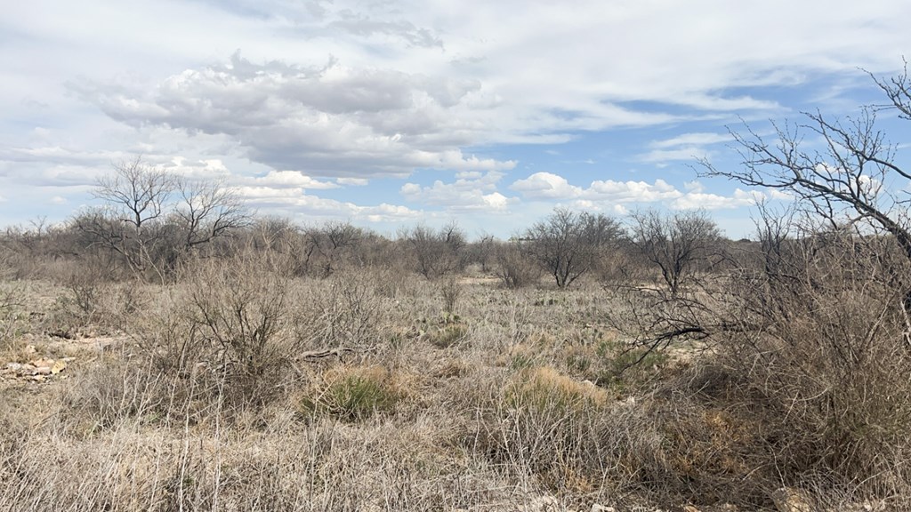 TBD Railway St, Marathon, Texas image 23
