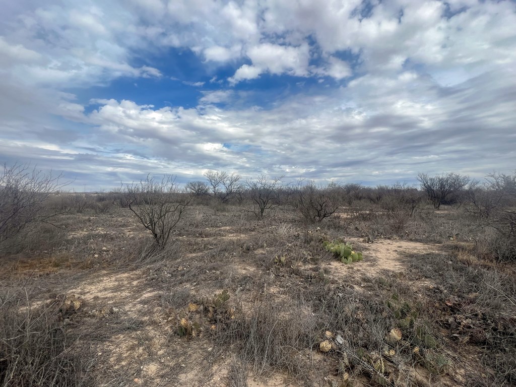 TBD Railway St, Marathon, Texas image 9