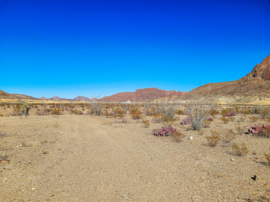 53396 State Hwy 118 S, Terlingua, Texas image 6