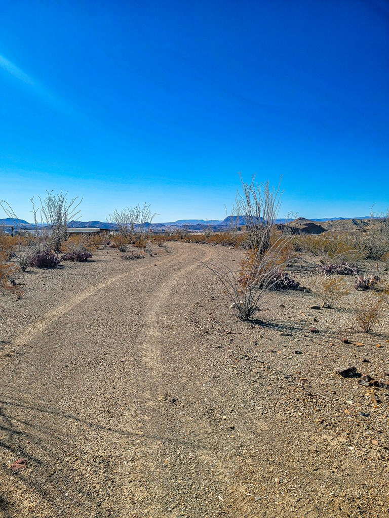 53396 State Hwy 118 S, Terlingua, Texas image 22