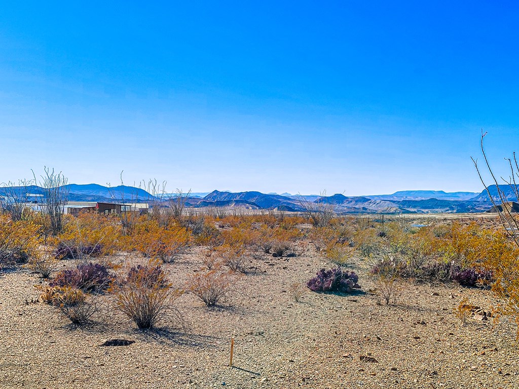 53396 State Hwy 118 S, Terlingua, Texas image 12