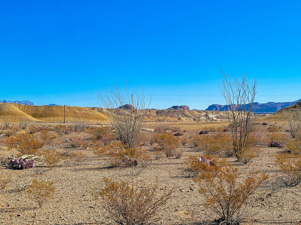 53396 State Hwy 118 S, Terlingua, Texas image 11