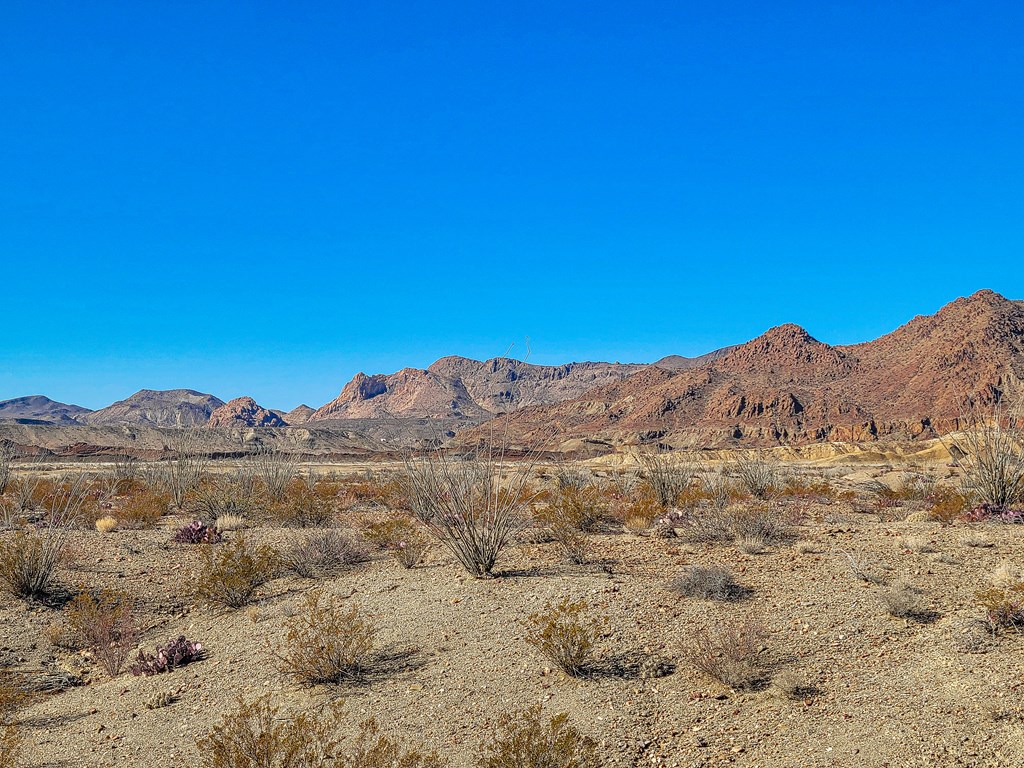 53396 State Hwy 118 S, Terlingua, Texas image 5