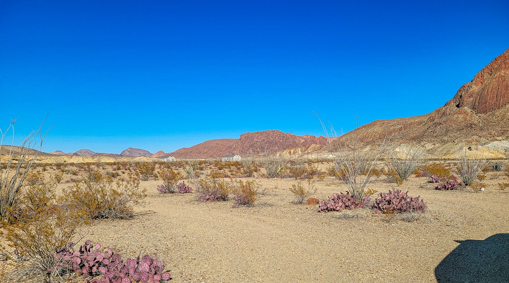 53396 State Hwy 118 S, Terlingua, Texas image 15