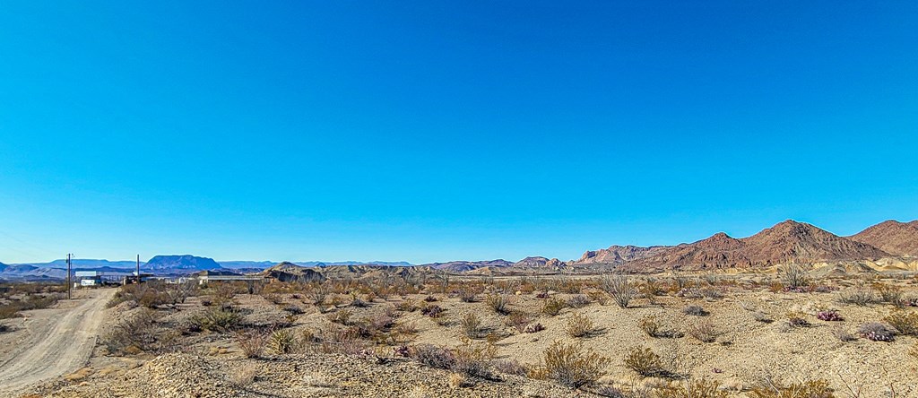 53396 State Hwy 118 S, Terlingua, Texas image 10