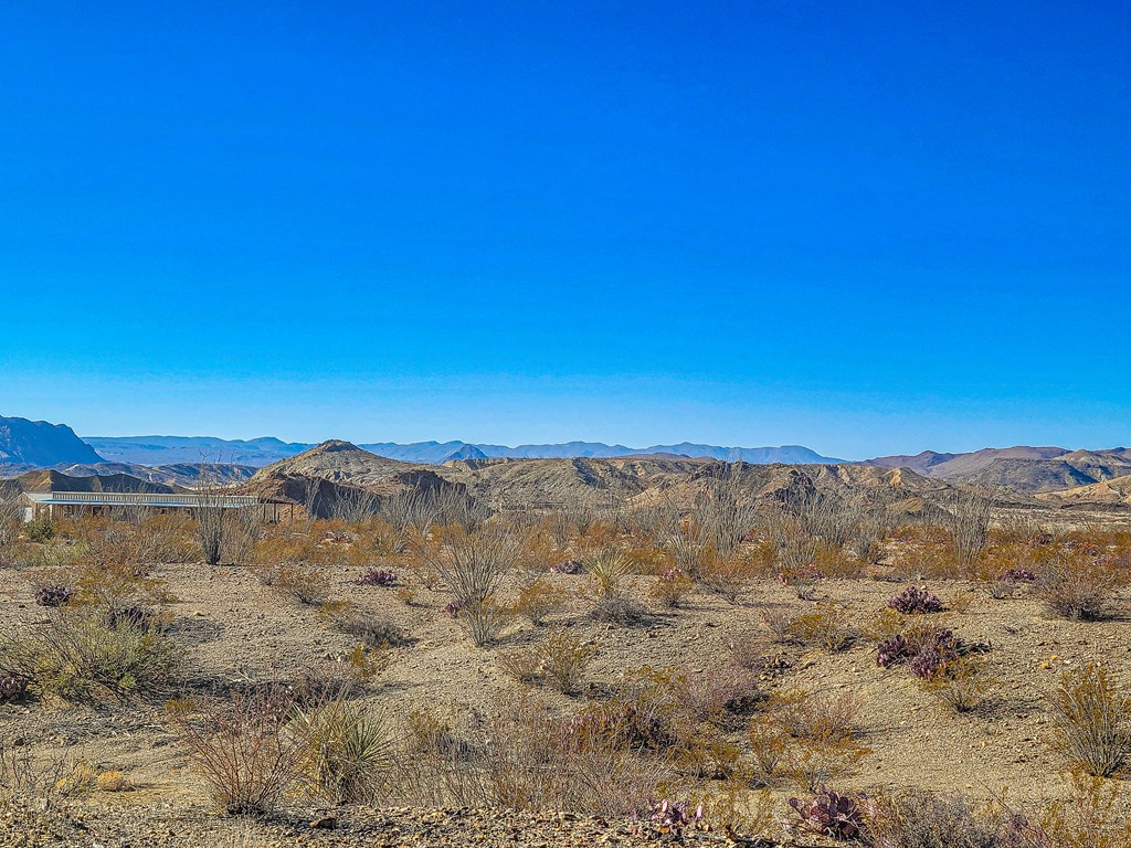 53396 State Hwy 118 S, Terlingua, Texas image 23