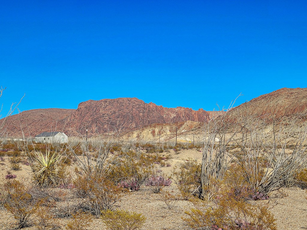 53396 State Hwy 118 S, Terlingua, Texas image 3