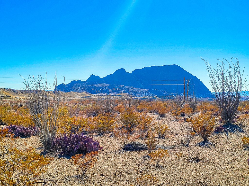 53396 State Hwy 118 S, Terlingua, Texas image 21