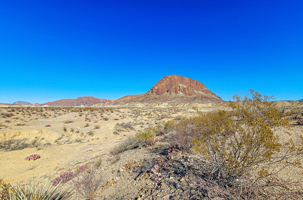 53396 State Hwy 118 S, Terlingua, Texas image 8