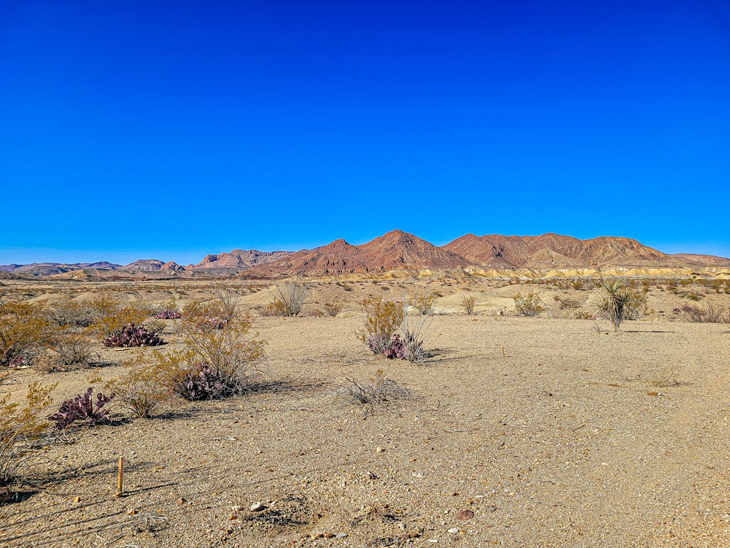 53396 State Hwy 118 S, Terlingua, Texas image 9