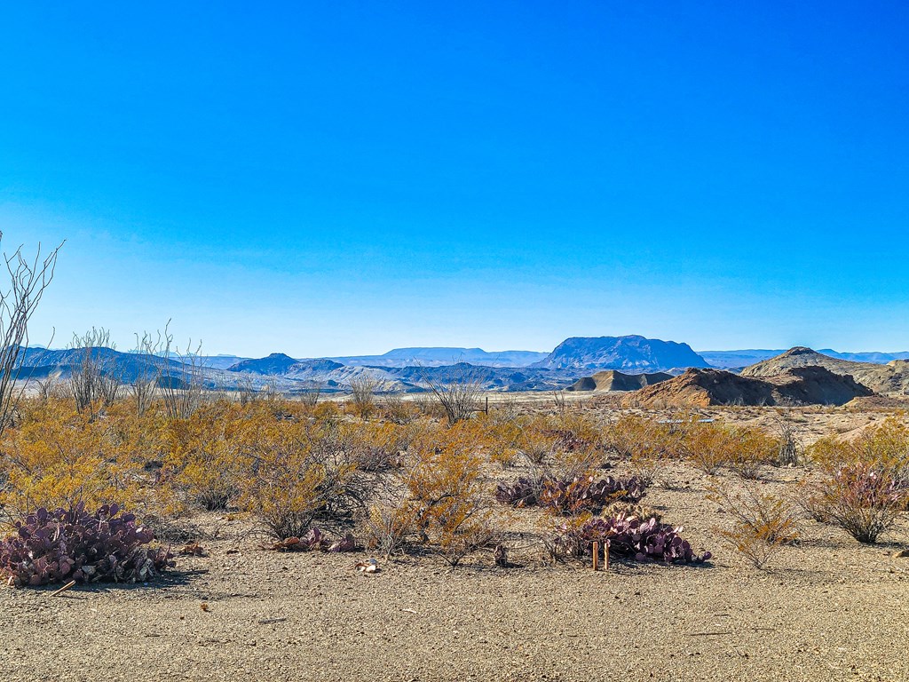 53396 State Hwy 118 S, Terlingua, Texas image 18