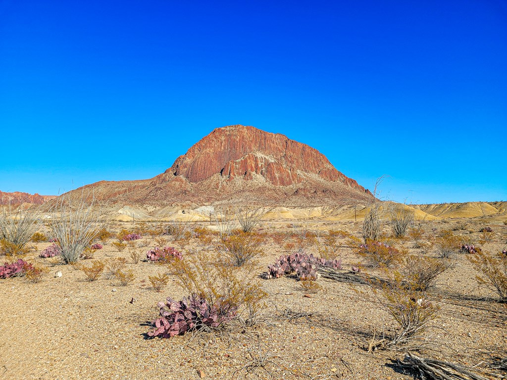 53396 State Hwy 118 S, Terlingua, Texas image 7