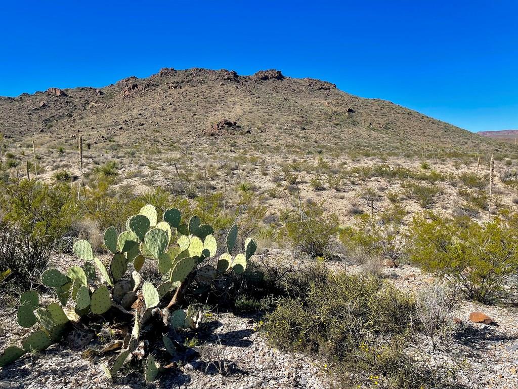 TR 761 Mountain Side Dr, Terlingua, Texas image 1