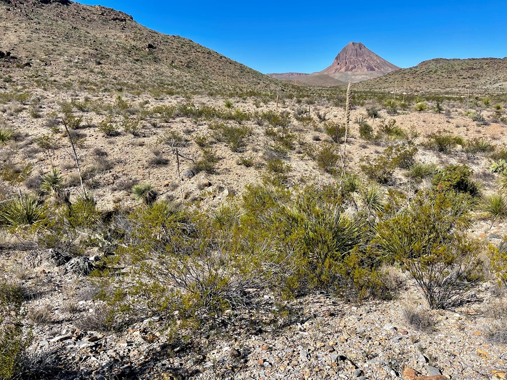 TR 761 Mountain Side Dr, Terlingua, Texas image 29