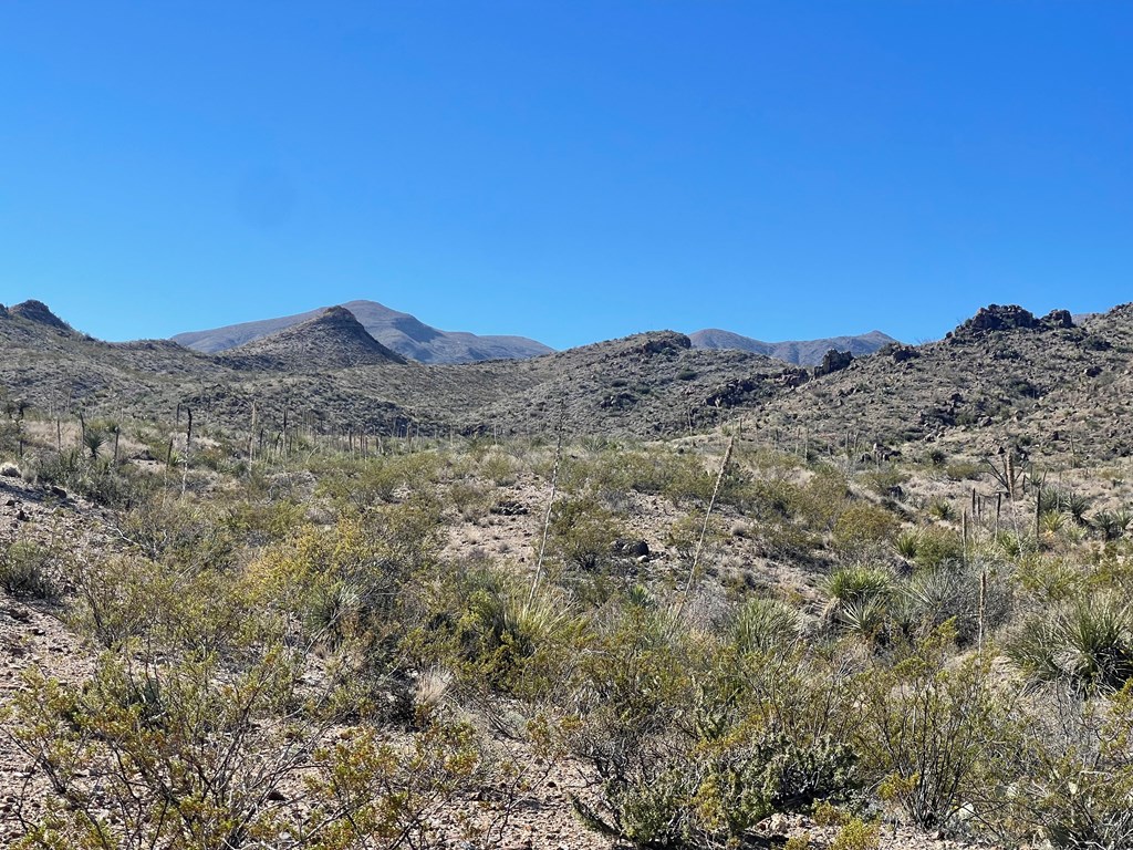 TR 761 Mountain Side Dr, Terlingua, Texas image 22