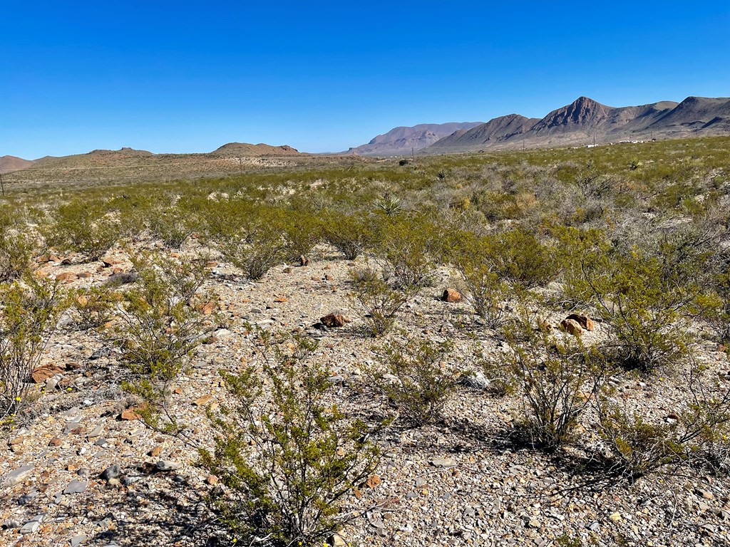 TR 761 Mountain Side Dr, Terlingua, Texas image 15