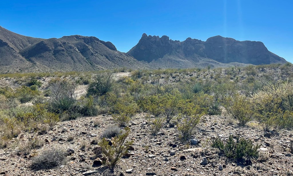 TR 761 Mountain Side Dr, Terlingua, Texas image 4