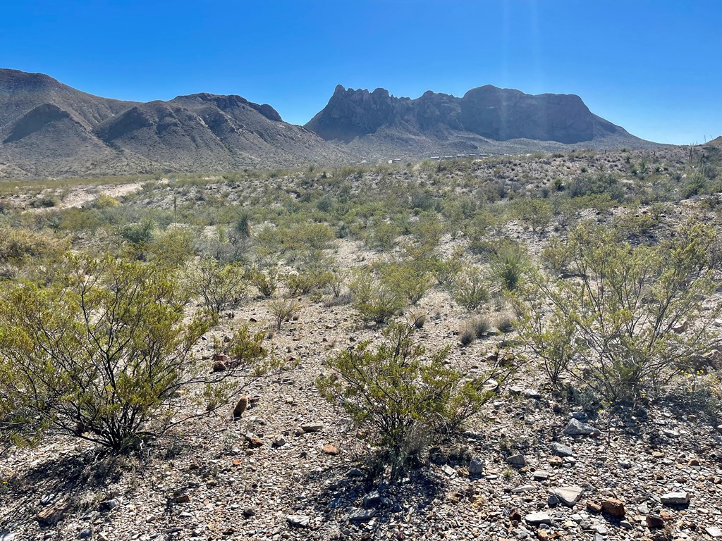 TR 761 Mountain Side Dr, Terlingua, Texas image 3