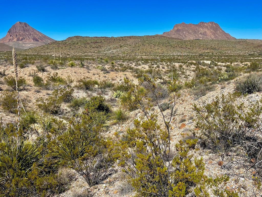 TR 761 Mountain Side Dr, Terlingua, Texas image 9