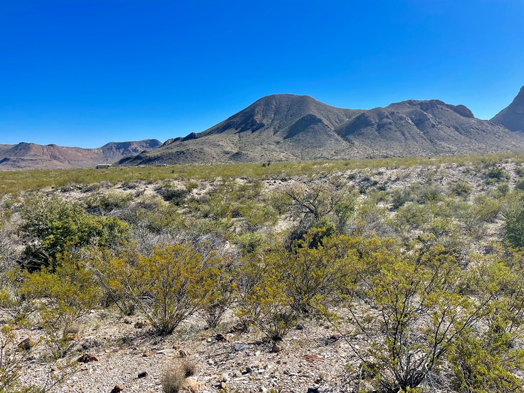 TR 761 Mountain Side Dr, Terlingua, Texas image 10