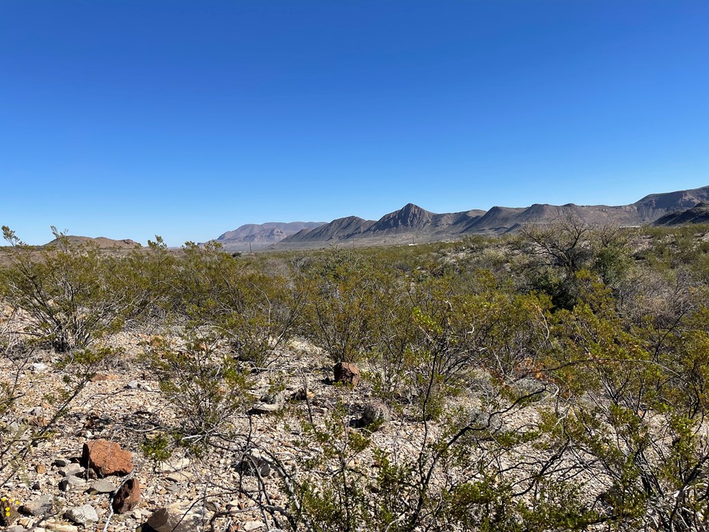 TR 761 Mountain Side Dr, Terlingua, Texas image 28