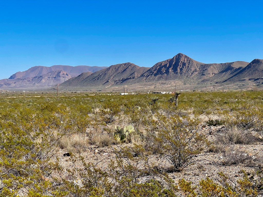 TR 761 Mountain Side Dr, Terlingua, Texas image 16