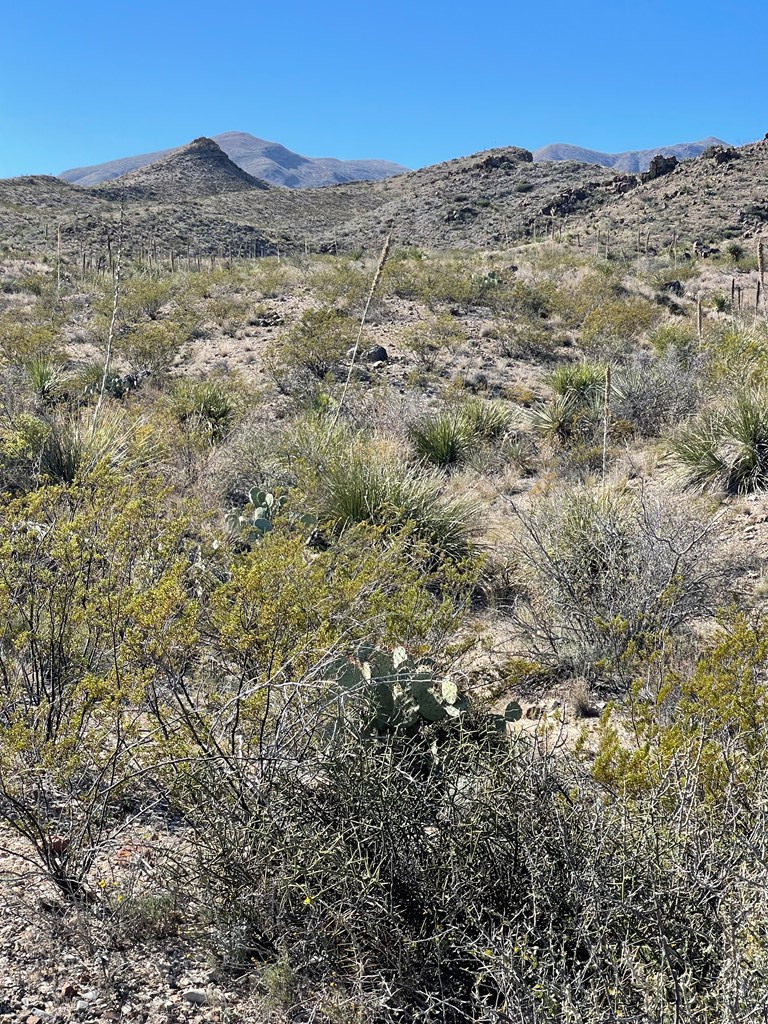 TR 761 Mountain Side Dr, Terlingua, Texas image 30