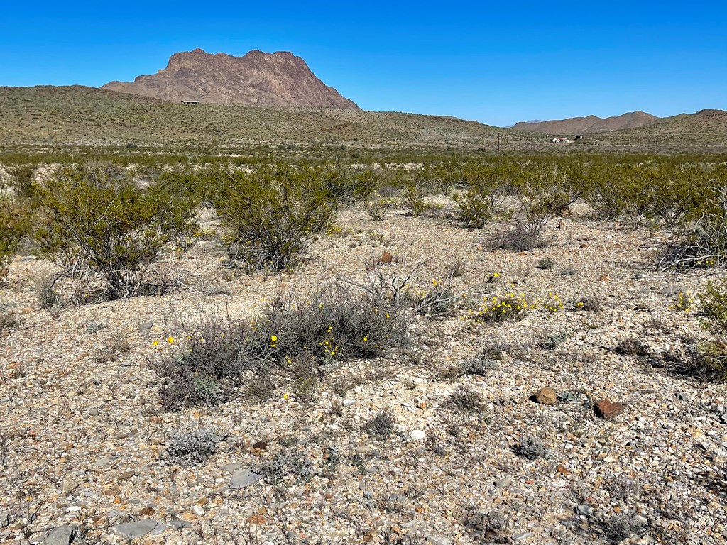 TR 761 Mountain Side Dr, Terlingua, Texas image 23