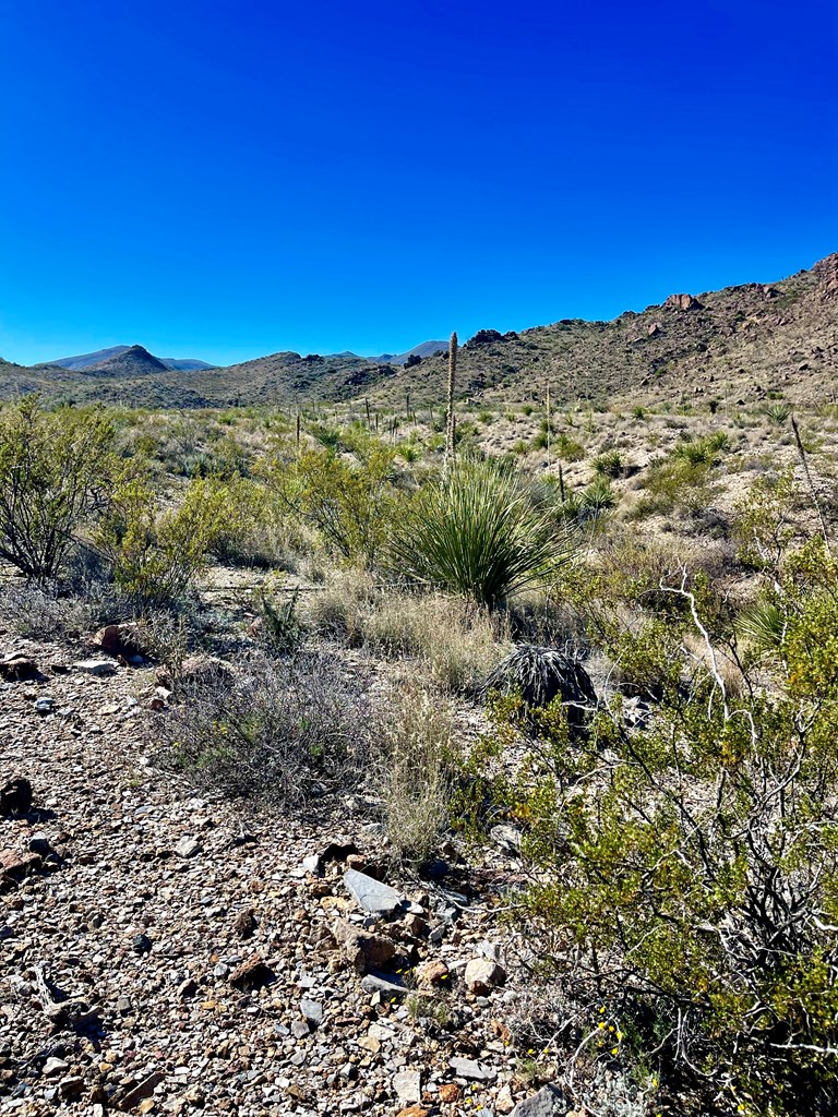 TR 761 Mountain Side Dr, Terlingua, Texas image 17