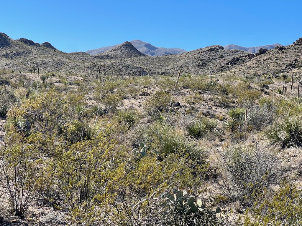 TR 761 Mountain Side Dr, Terlingua, Texas image 12