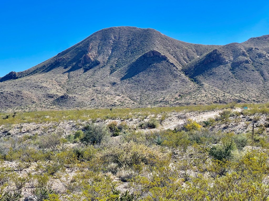 TR 761 Mountain Side Dr, Terlingua, Texas image 18