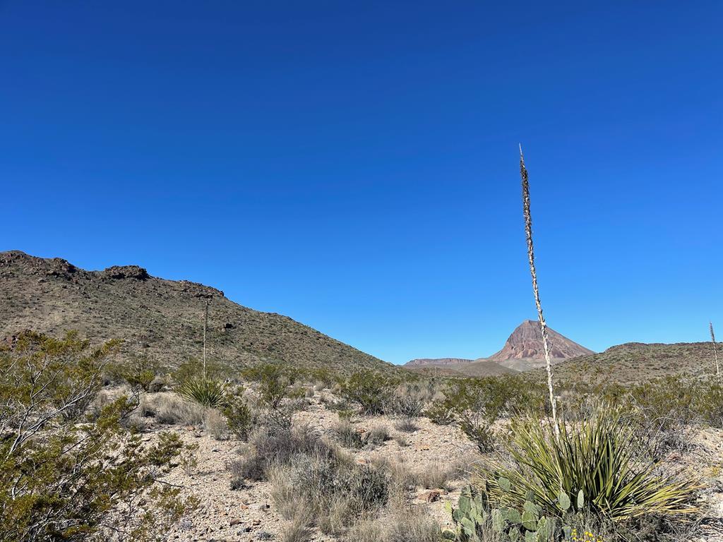 TR 761 Mountain Side Dr, Terlingua, Texas image 2