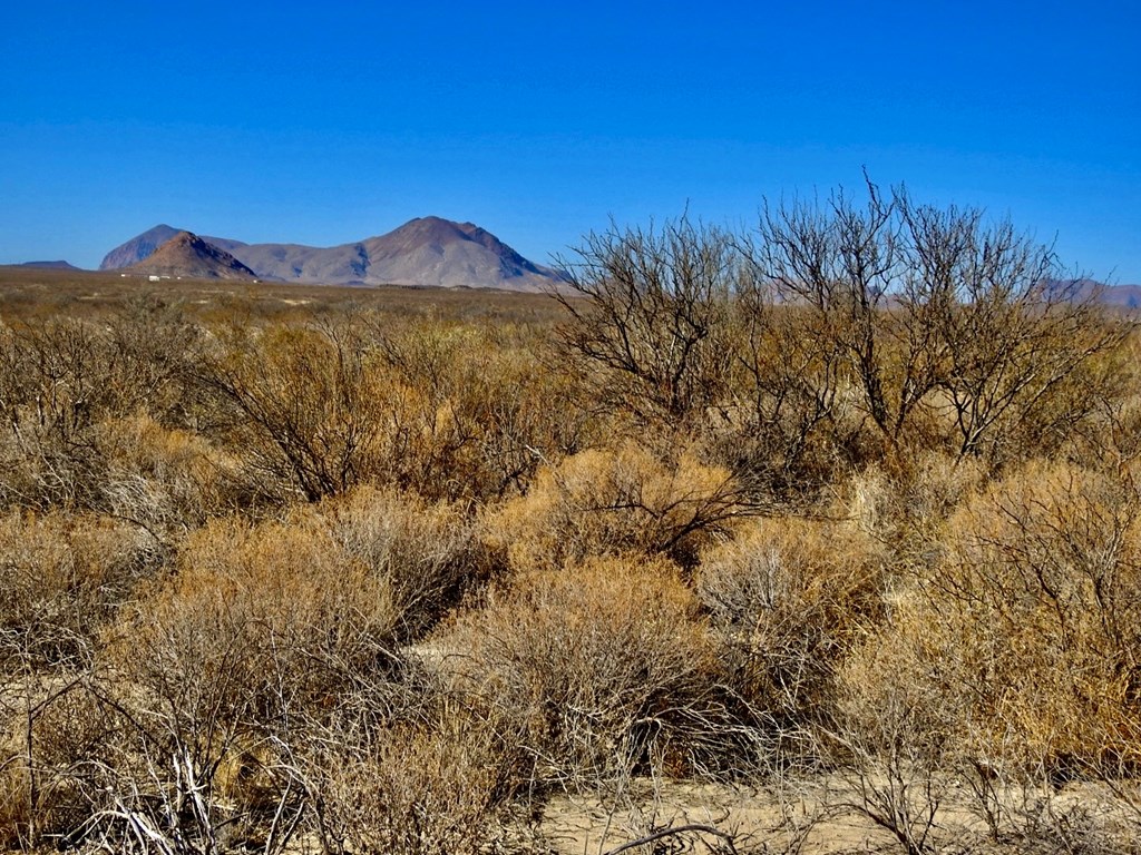 594 Starhaven Lane, Terlingua, Texas image 7