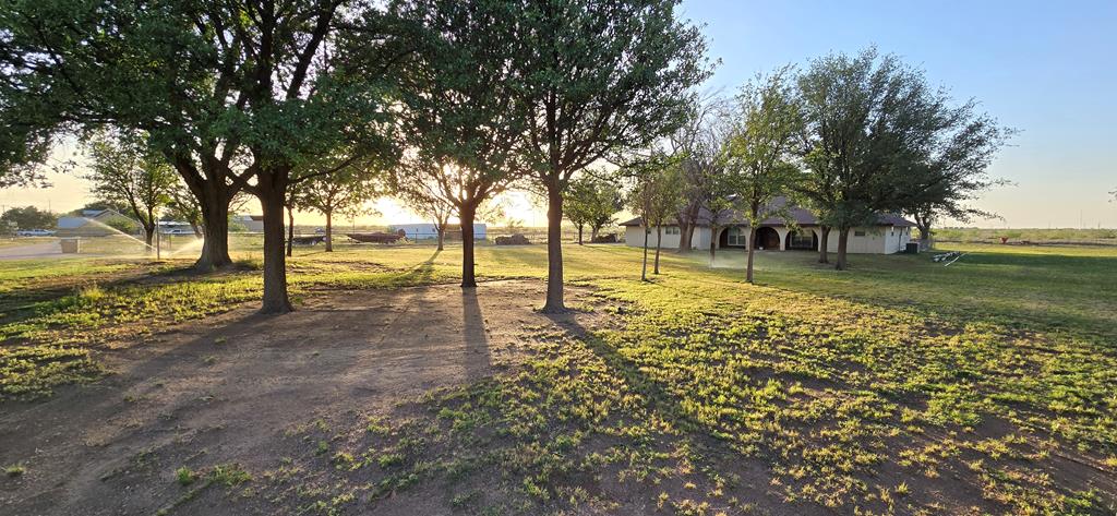 5007 S County Rd 1157, Midland, Texas image 11