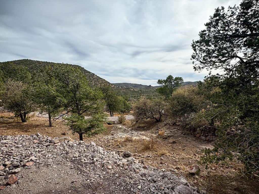 107 Comanche Crest, Fort Davis, Texas image 22