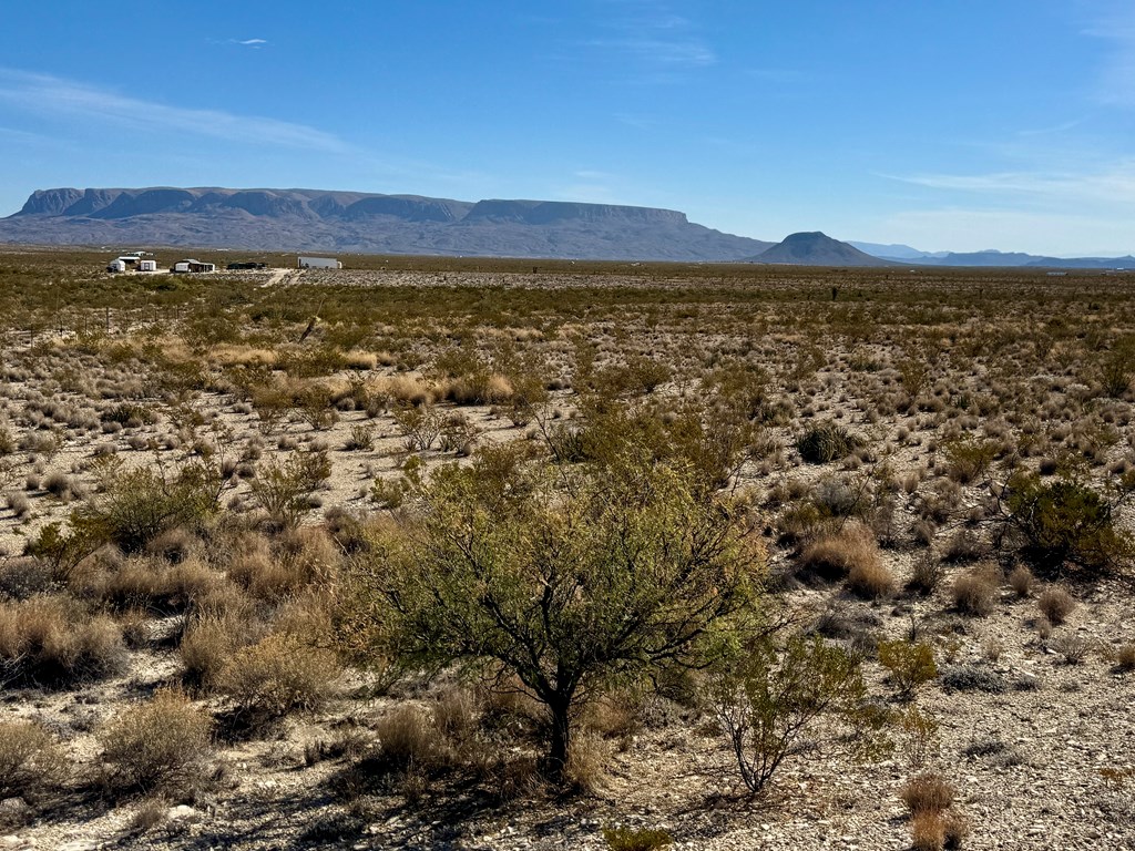 H 133 Hwy 118, Terlingua, Texas image 3