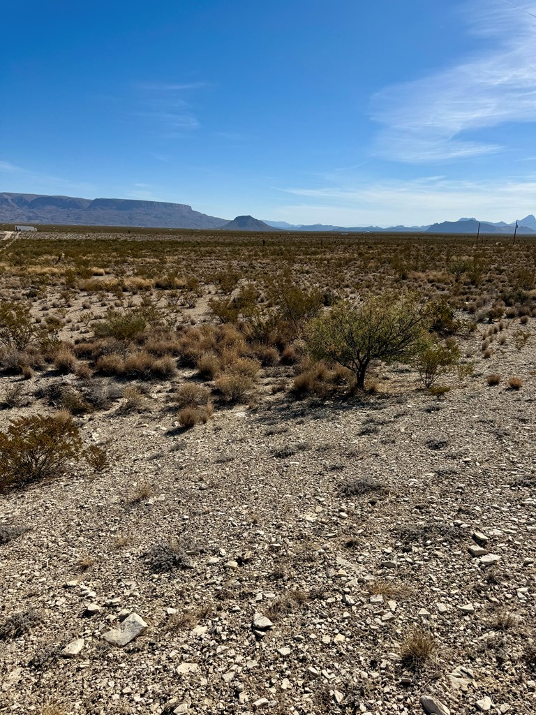 H 133 Hwy 118, Terlingua, Texas image 2