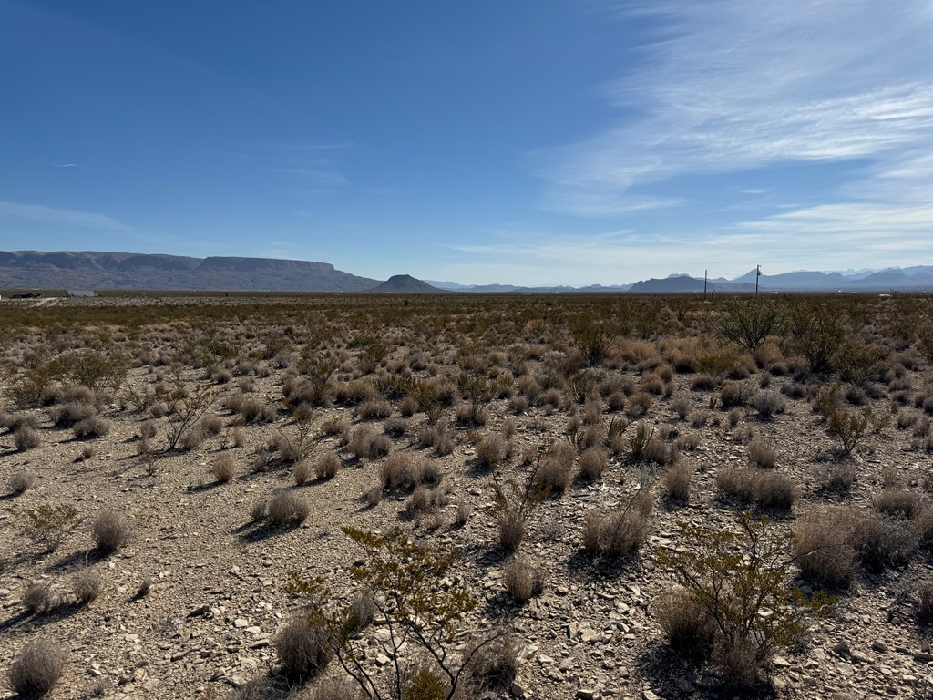 H 133 Hwy 118, Terlingua, Texas image 7