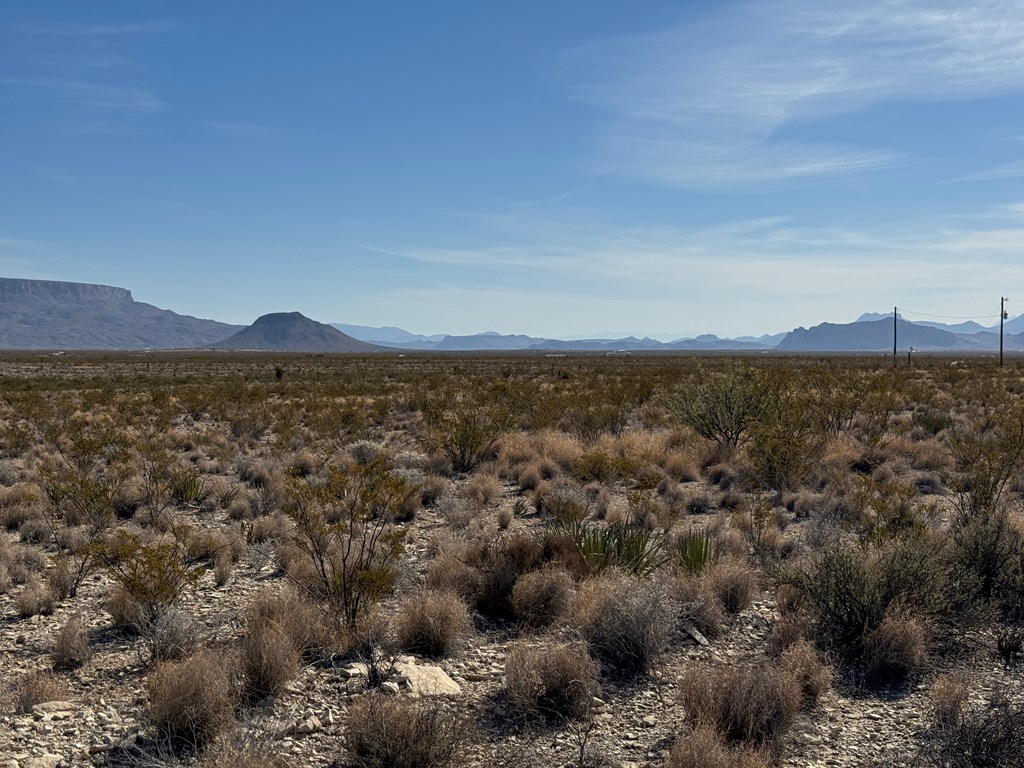 H 133 Hwy 118, Terlingua, Texas image 4