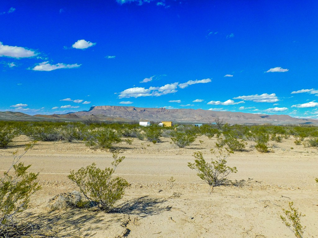 20074 Starry Night, Terlingua, Texas image 14
