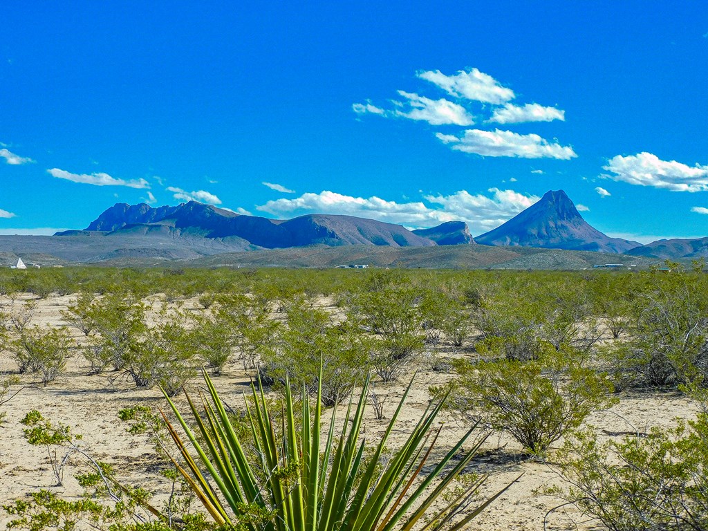 20074 Starry Night, Terlingua, Texas image 3