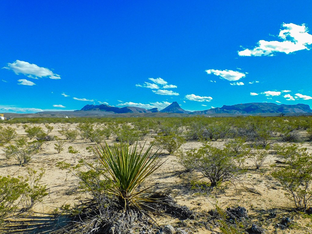 20074 Starry Night, Terlingua, Texas image 9