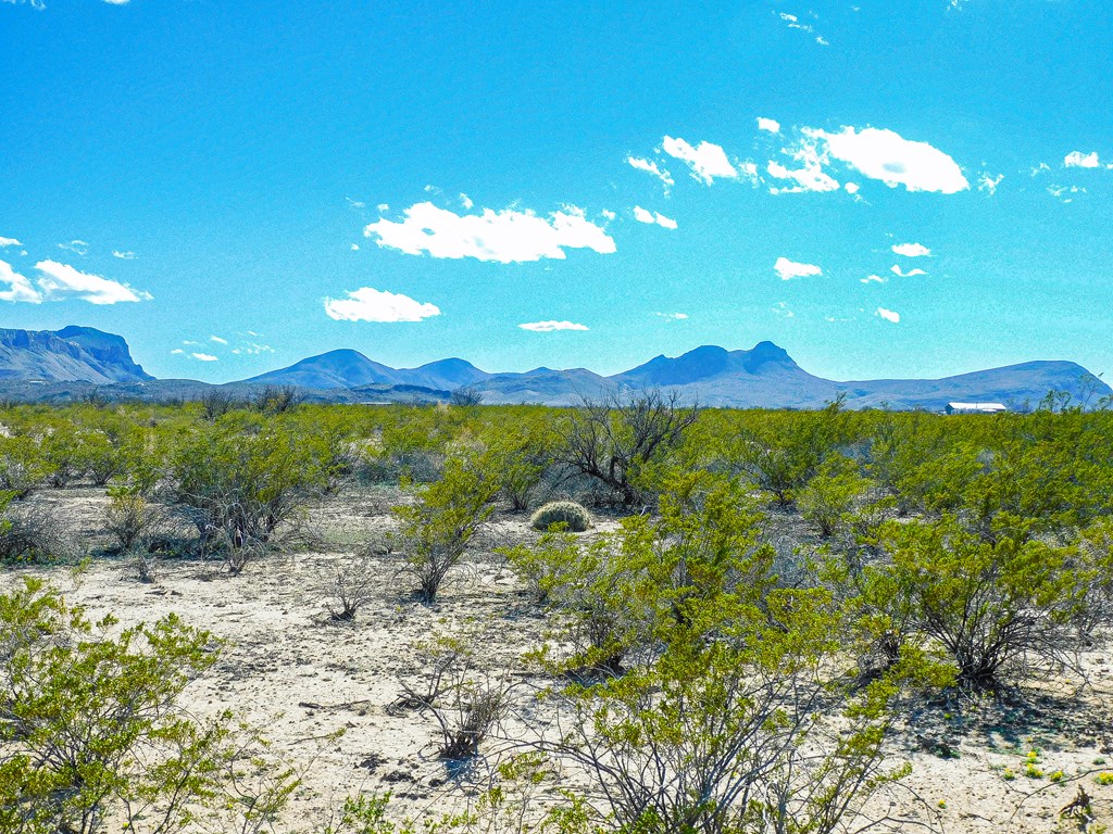 20074 Starry Night, Terlingua, Texas image 4
