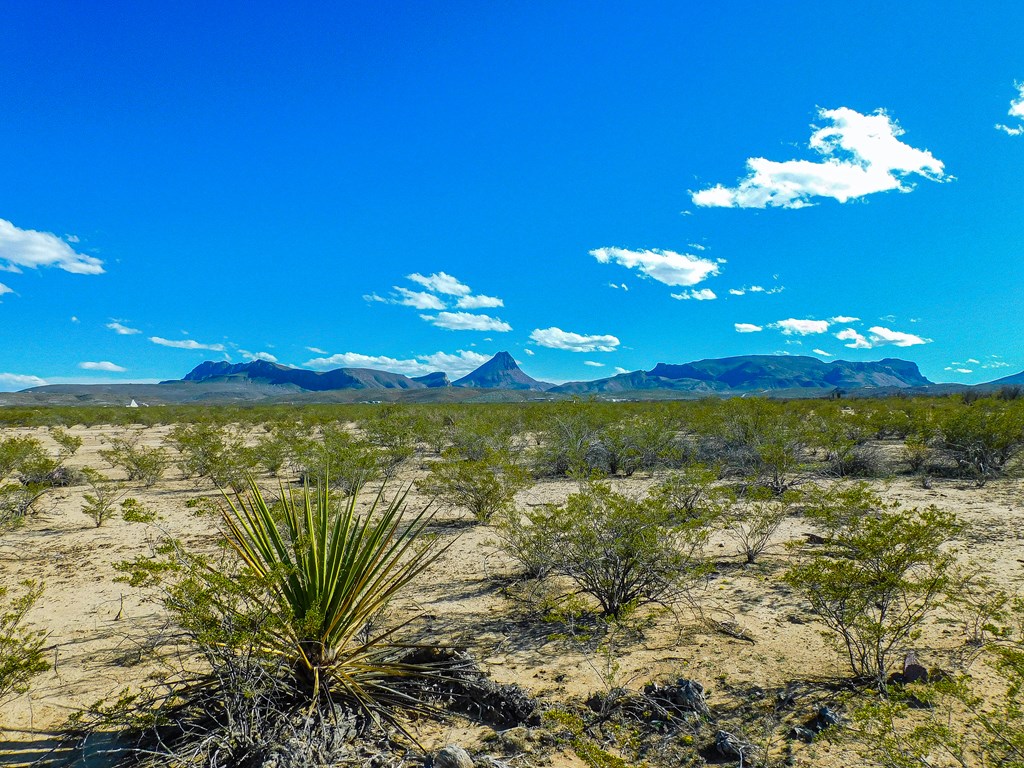 20074 Starry Night, Terlingua, Texas image 10