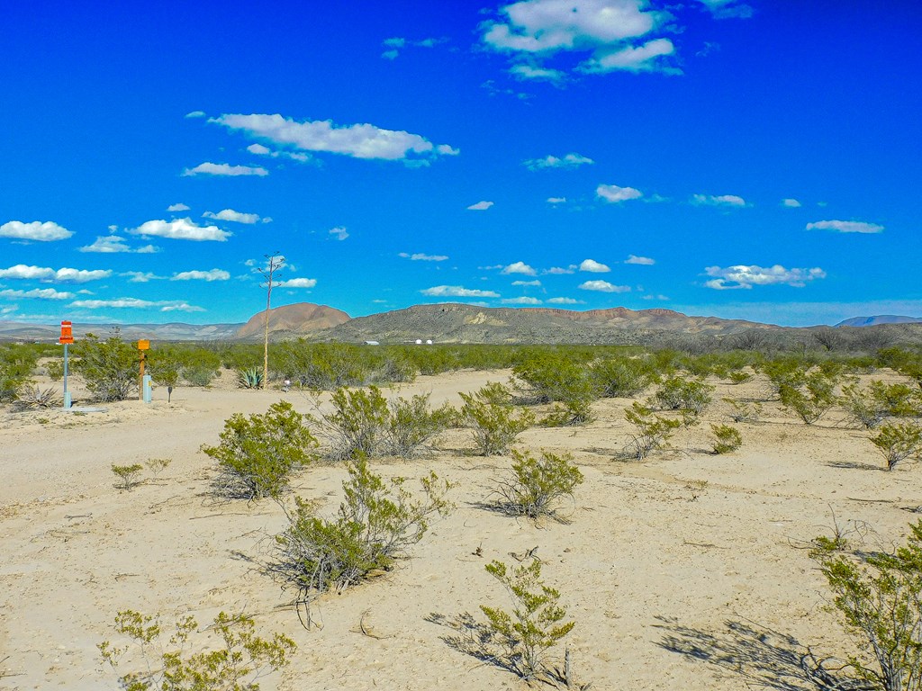 20074 Starry Night, Terlingua, Texas image 18