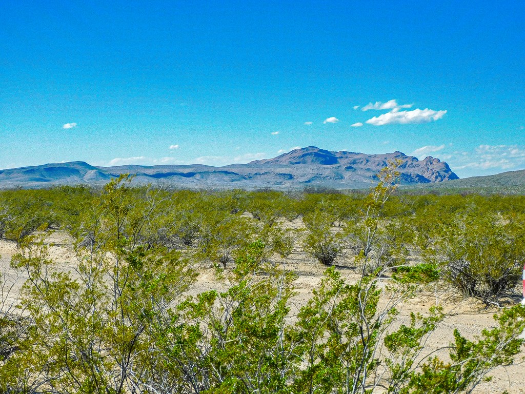 20074 Starry Night, Terlingua, Texas image 7